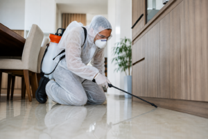 Profissional aplicando dedetização em ambiente residencial para eliminar pragas urbanas e proteger a casa contra novas infestações.